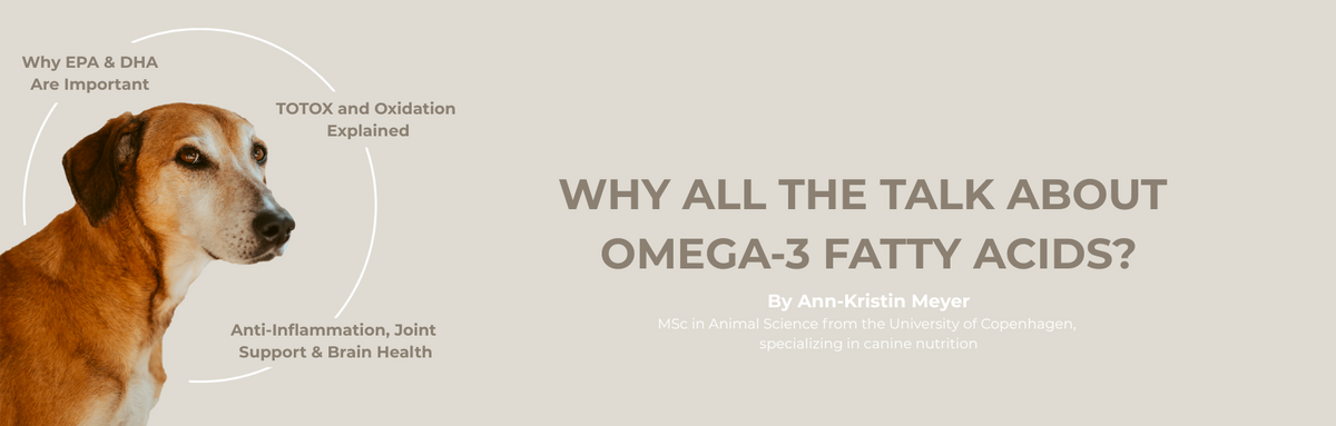 Omega-3 for dogs and cats