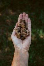 Hokuō® Elk Liver freeze-dried nutrient-rich elk liver treats for pets in hand