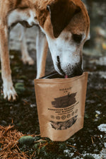 Dog sniffing Hokuō Norwegian Reindeer Liver and Blueberry freeze-dried pet treats pouch outdoors