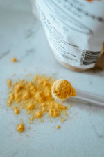 Hokuō® Organic Pumpkin Powder for pet digestive support, freeze-dried, high fiber, low calorie, natural nutrients