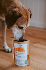 Dog sniffing Hokuō® Sea Buckthorn freeze-dried powder pet supplement on wooden floor