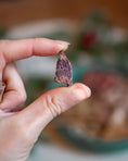 Load image into Gallery viewer, Hokuō™ Taste Reindeer Liver & Blueberry
