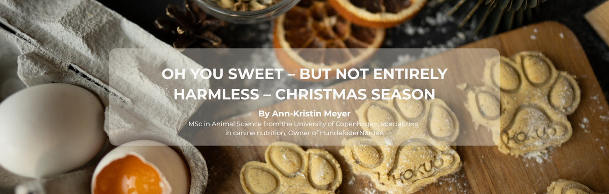 Oh You Sweet – But Not Entirely Harmless – Christmas Season