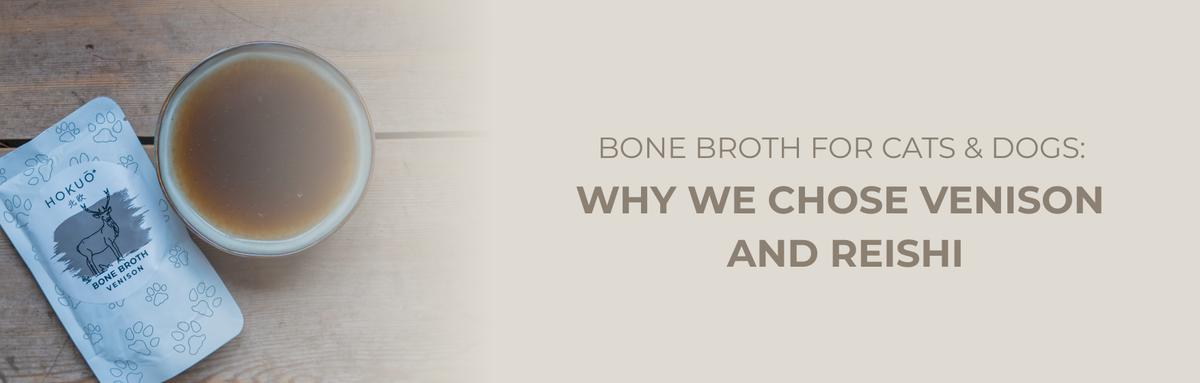 Bone Broth for dogs with venison and reishi