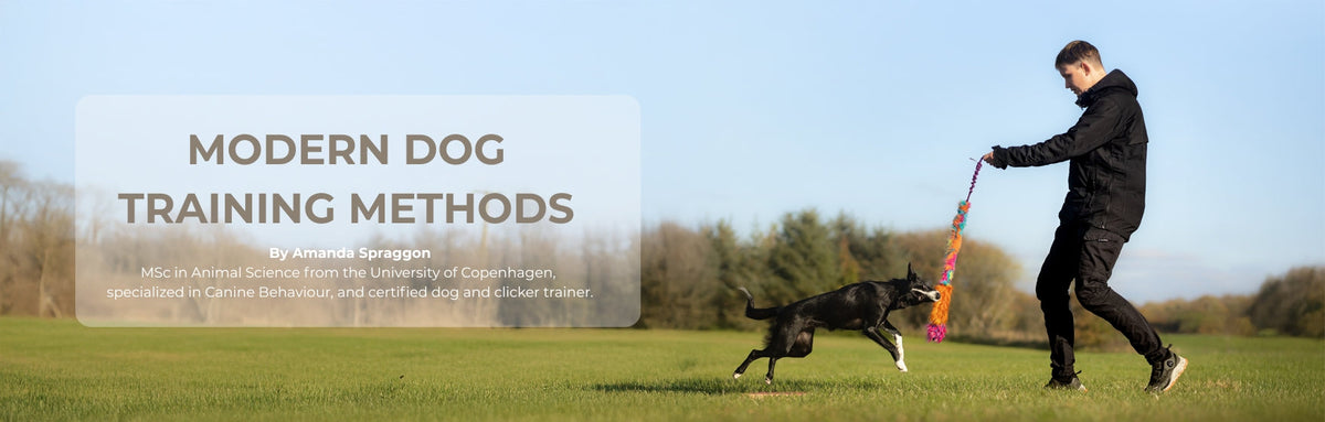 Omega-3 for dogs and cats