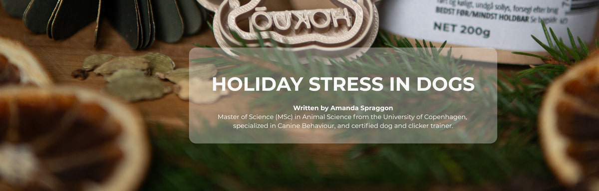 Holiday Stress in Dogs How to Create Safety and Calm blog hokuo 