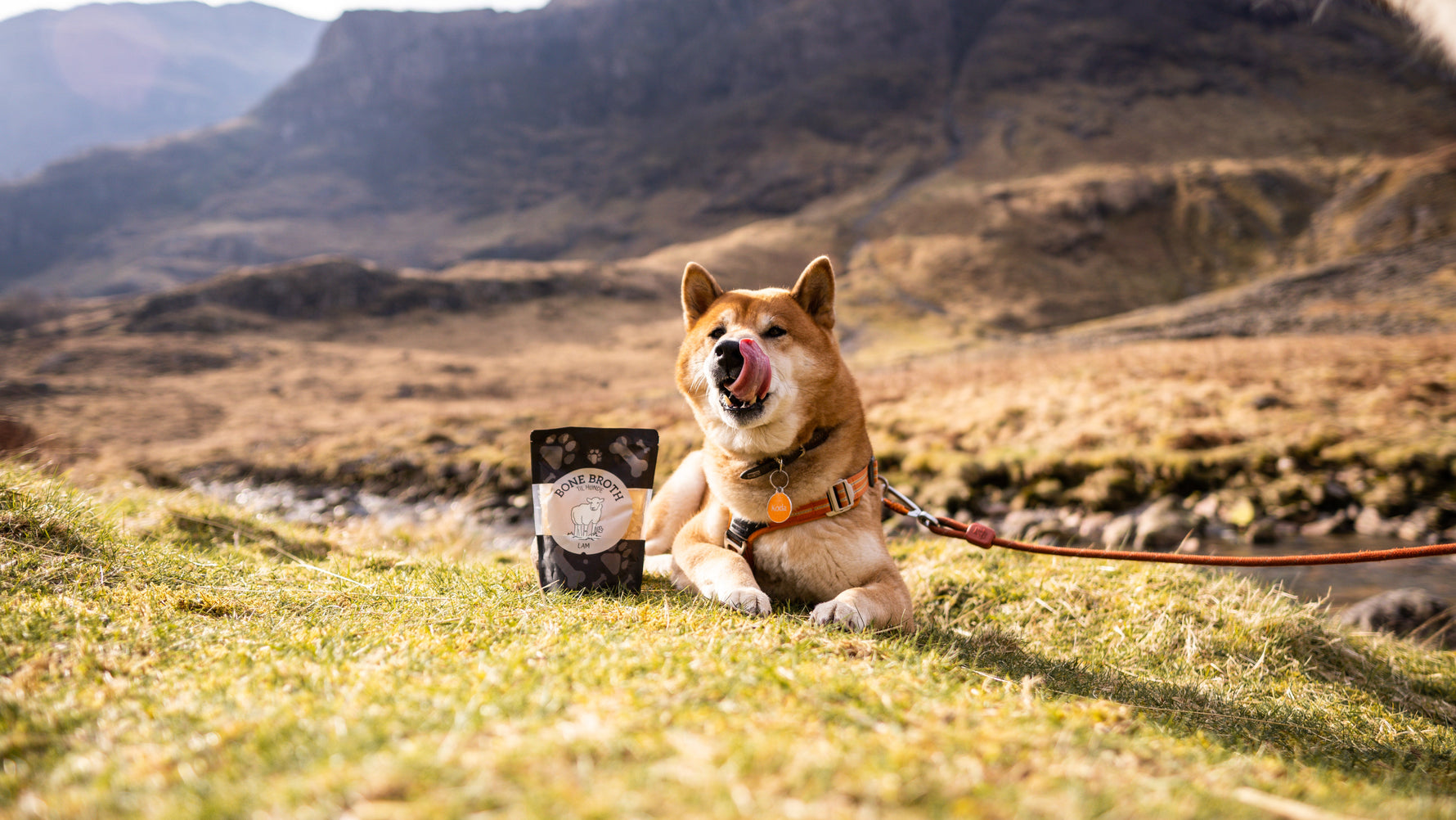 Bone Broth for your pet