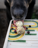 a cute dog with licking tounge on freeze-dried quail eggs for cats and dogs