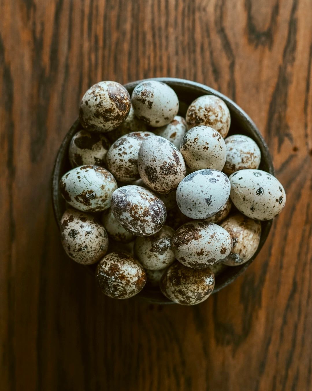 quail eggs freeze-dried for cats and dogs