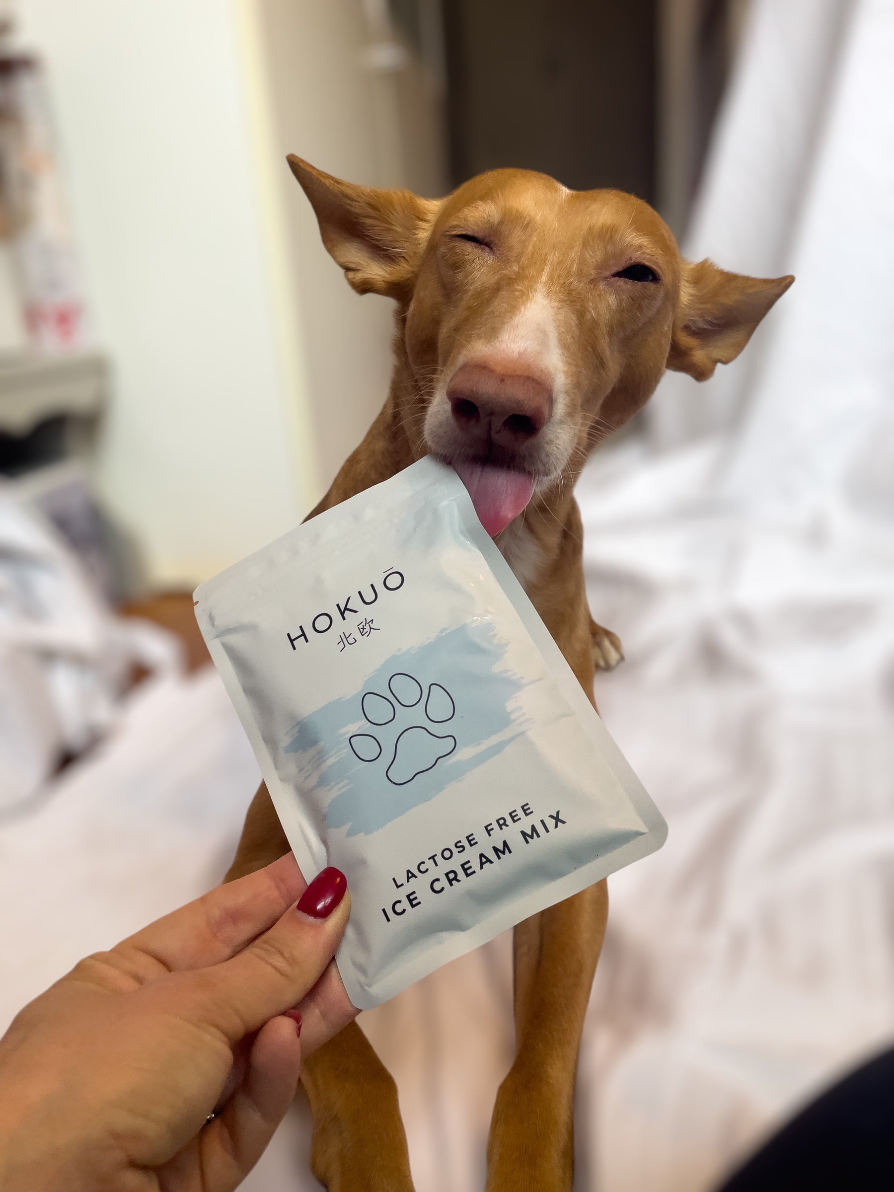 Hokuō® PAW-sicle Set