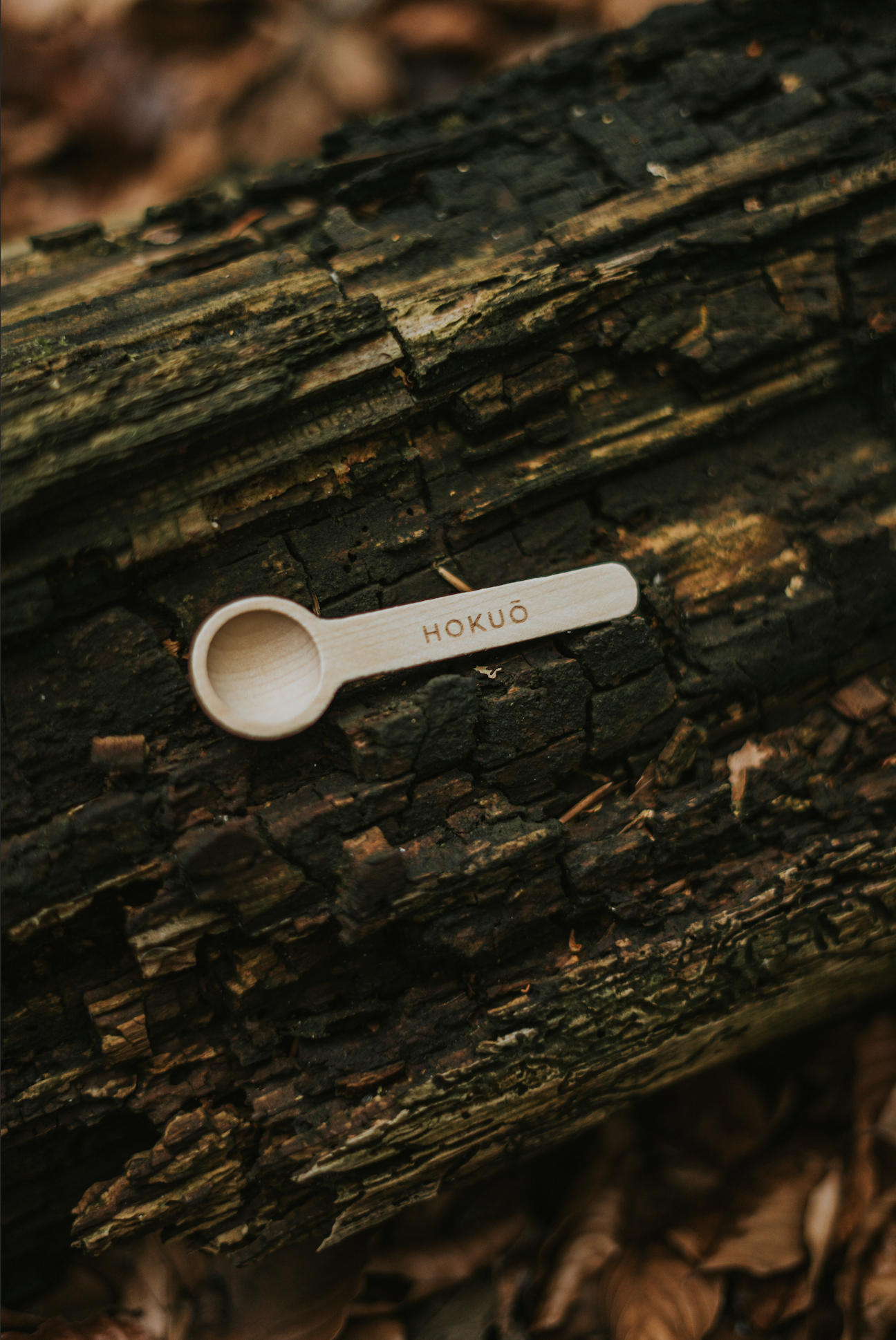 Hokuō™ Spoon