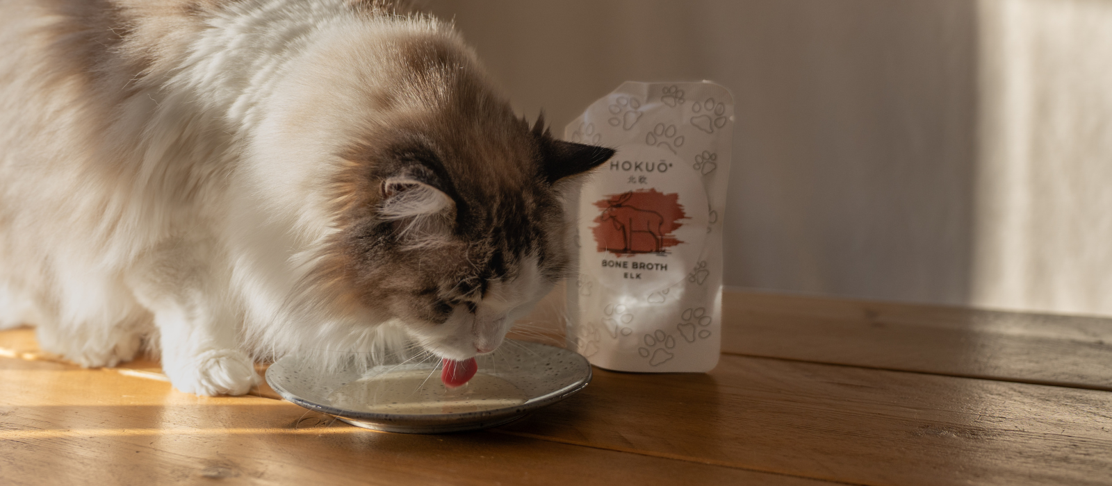 Bone Broth For Cats