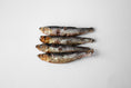 Indlæs billede i gallerifremviser, Hokuō® Taste Brisling & Rødbede
